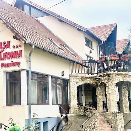 Pensiunea Casa Saxonia Рышнов Экстерьер фото