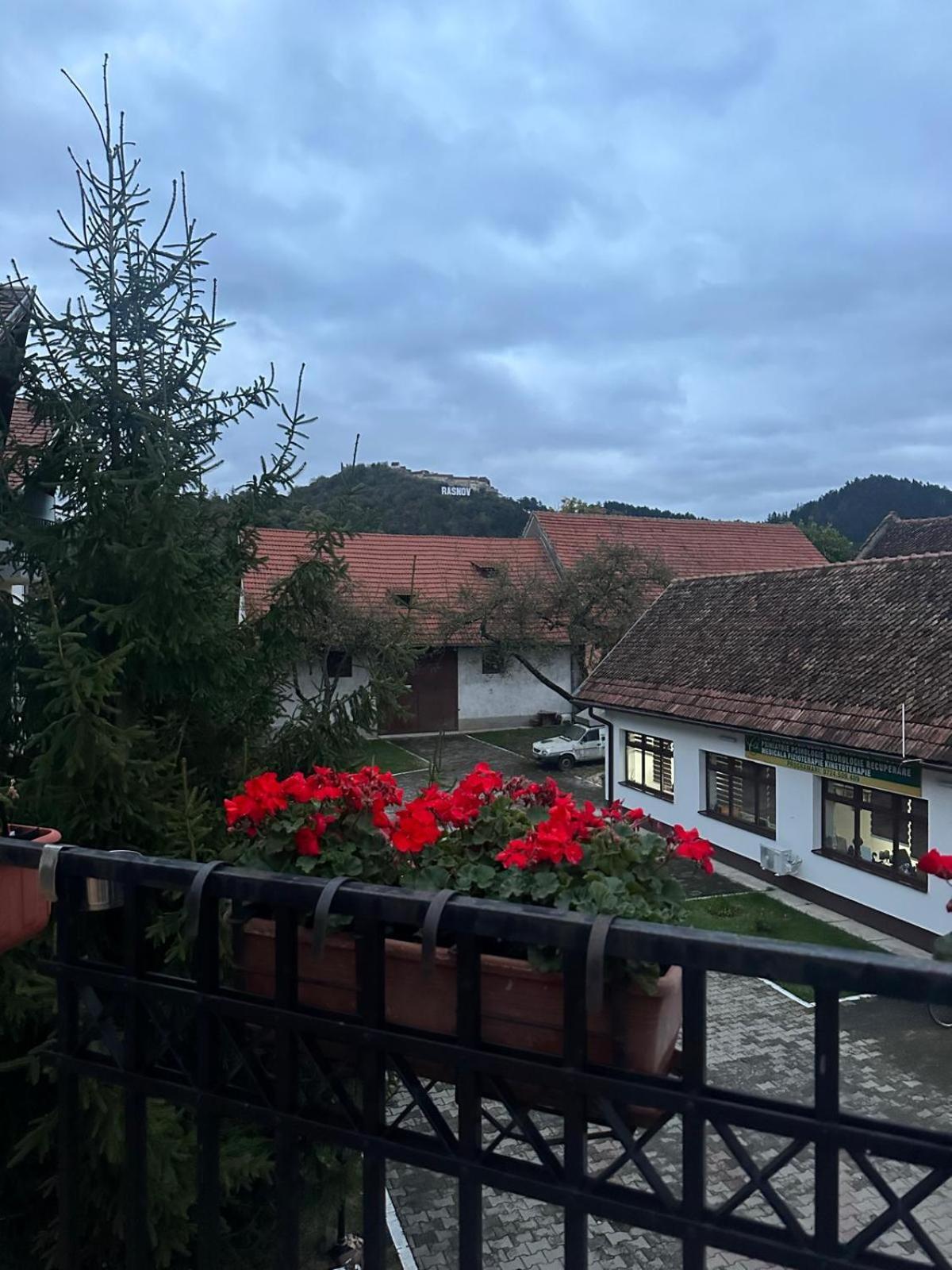 Pensiunea Casa Saxonia Рышнов Экстерьер фото