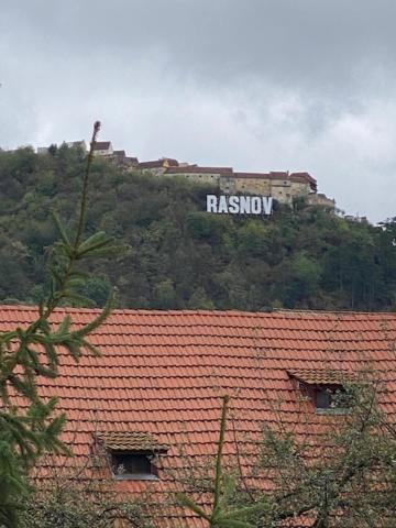 Pensiunea Casa Saxonia Рышнов Экстерьер фото