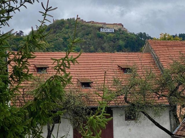 Pensiunea Casa Saxonia Рышнов Экстерьер фото