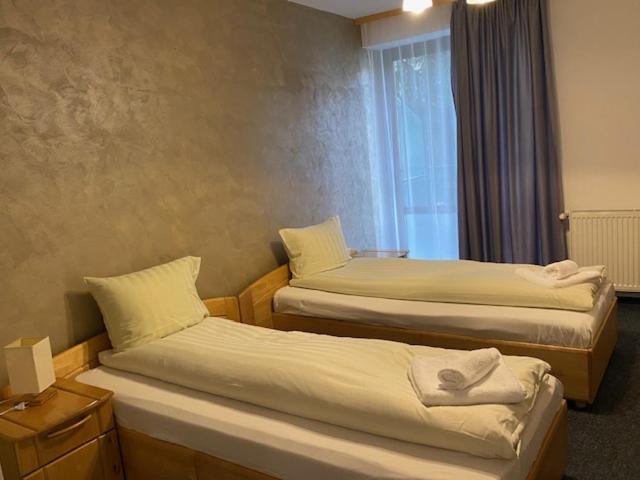 Pensiunea Casa Saxonia Рышнов Экстерьер фото