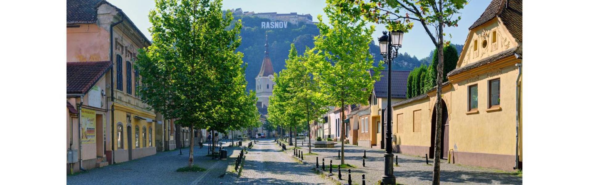 Pensiunea Casa Saxonia Рышнов Экстерьер фото